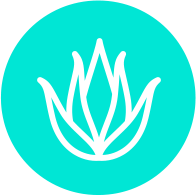 Le Pr - Organic Single Pass - Mscara de Tratamento e Realinhamento Capilar - Aloe Vera