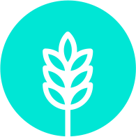 Le Pr - Organic Single Pass - Mscara de Tratamento e Realinhamento Capilar - Protena do Trigo
